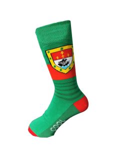 Mayo GAA inspired socks